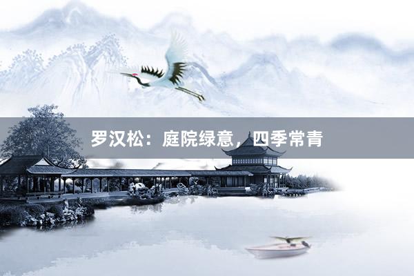 罗汉松：庭院绿意，四季常青
